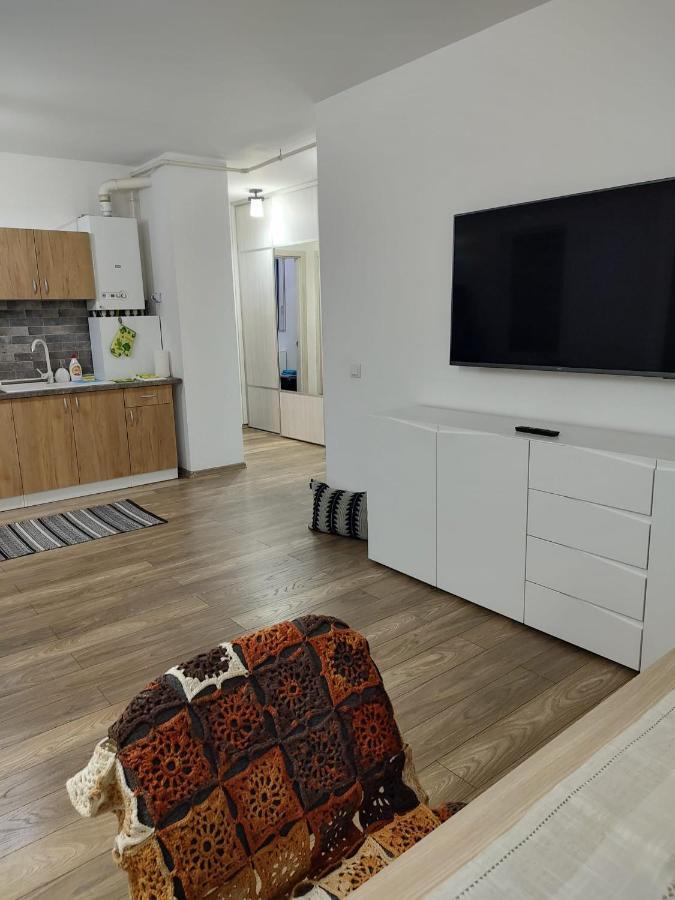 Târgu-MureşCasa Ioanaアパートメント エクステリア 写真