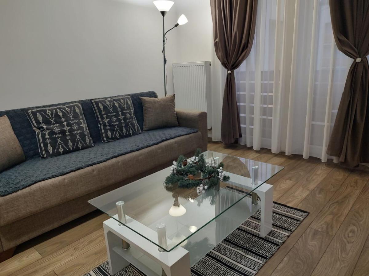 Târgu-MureşCasa Ioanaアパートメント エクステリア 写真