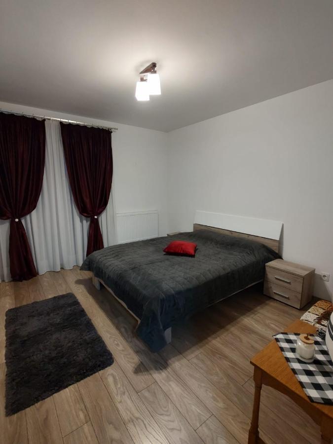 Târgu-MureşCasa Ioanaアパートメント エクステリア 写真