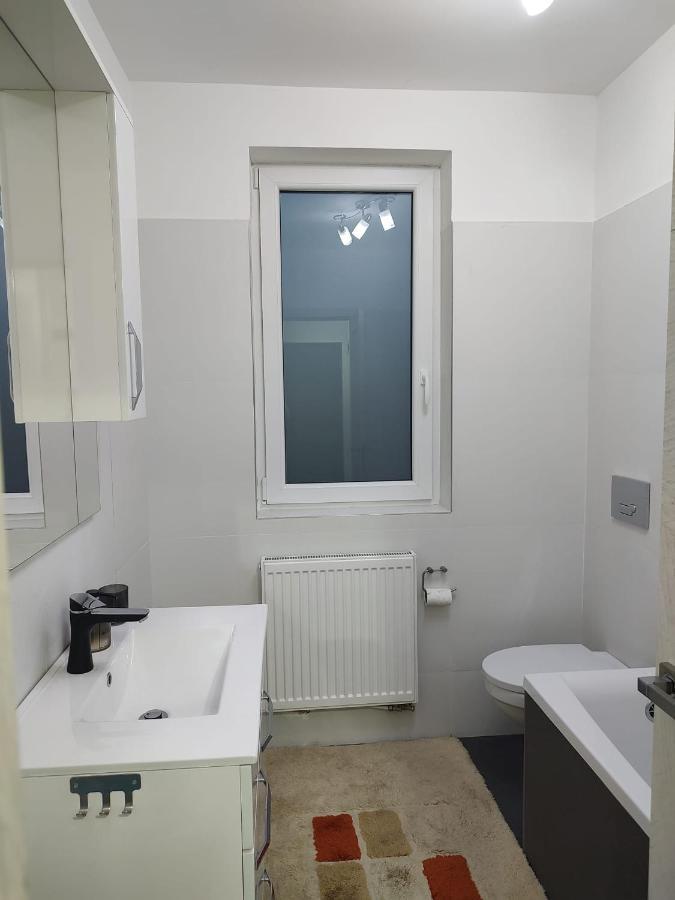 Târgu-MureşCasa Ioanaアパートメント エクステリア 写真