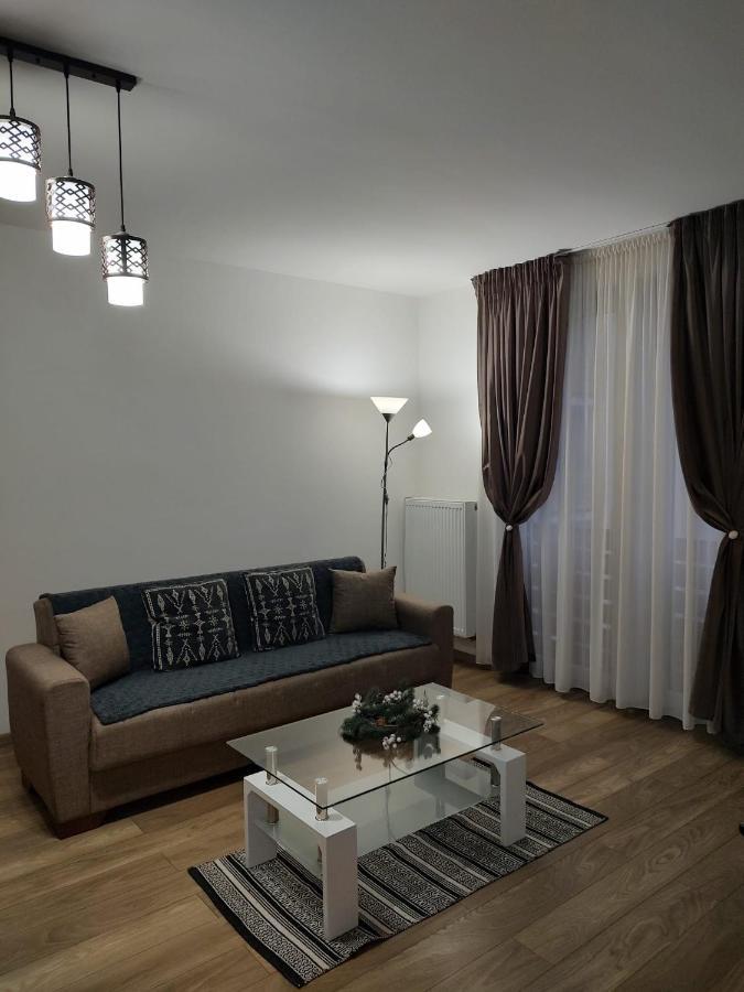 Târgu-MureşCasa Ioanaアパートメント エクステリア 写真